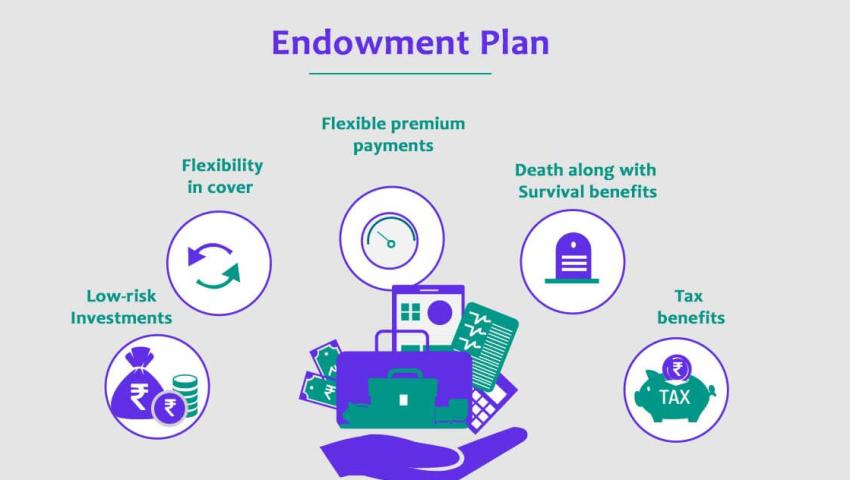 Endowment Insurance Policy